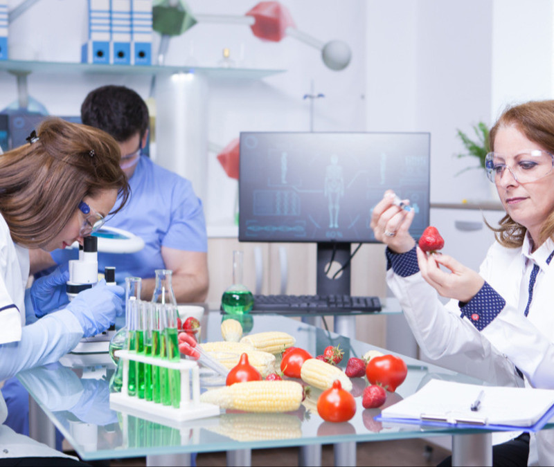 The Journey from Food Innovation to Production: The Essential Path