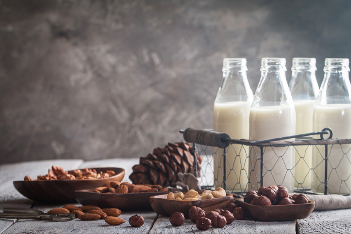 Plant-Based Manufacturing in Dairy: Embracing Innovation and Overcoming Challenges