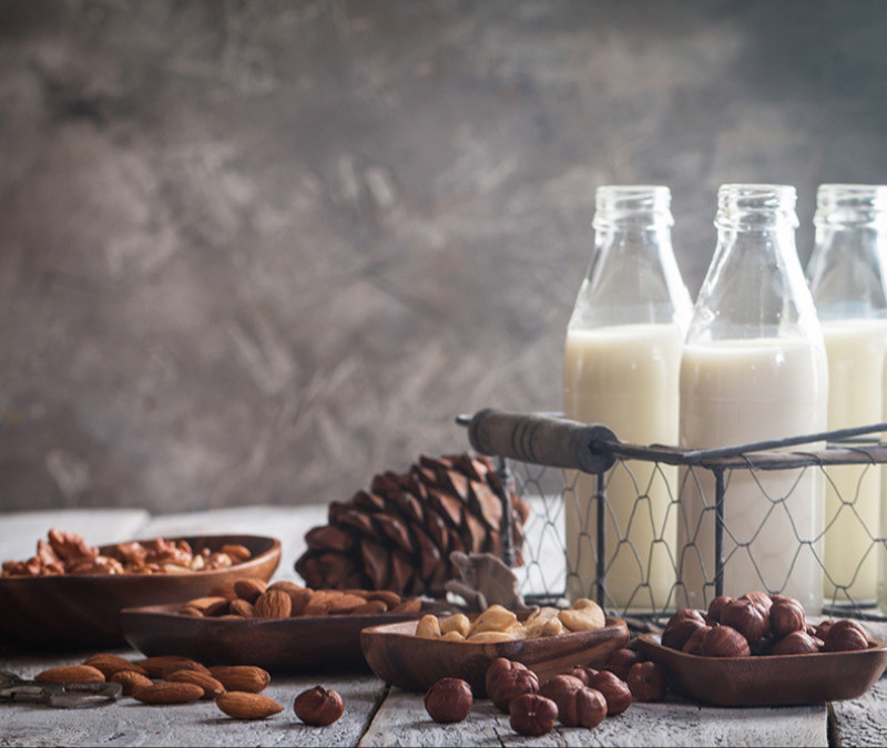 Plant-Based Manufacturing in Dairy: Embracing Innovation and Overcoming Challenges