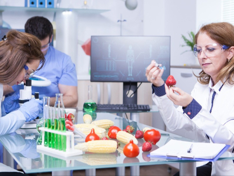 De reis van innovatie naar productie: de essentiële stappen