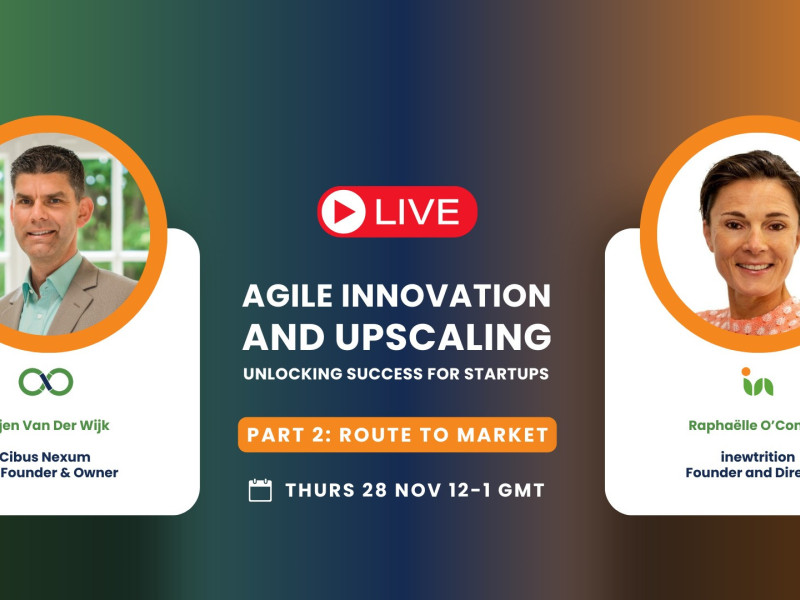 Webinar Series: Agile Innovation & Upscaling: Unlocking Success for Startups