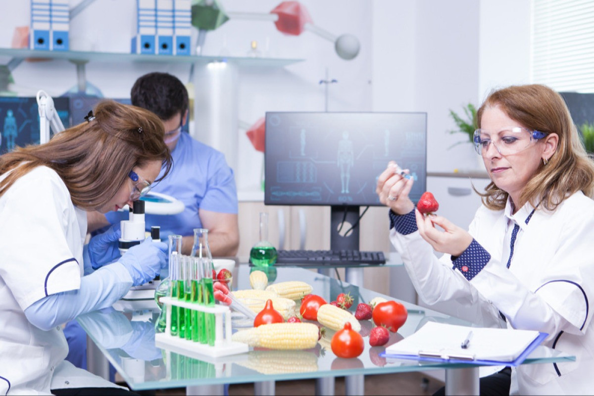 Der Weg von der Lebensmittelinnovation zur Produktion: Der wesentliche Weg