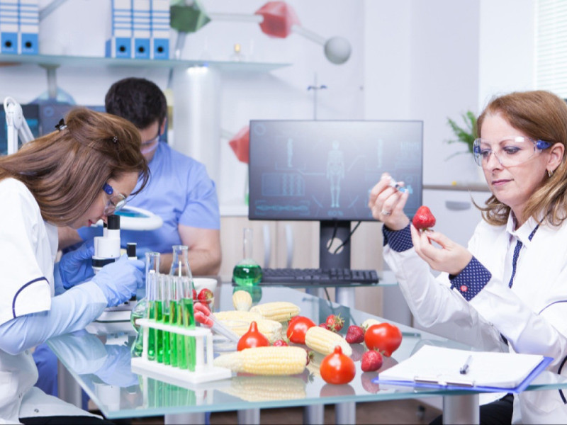 Der Weg von der Lebensmittelinnovation zur Produktion: Der wesentliche Weg