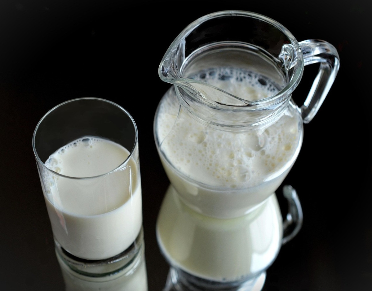 Case Study: How Danone Transformed Dairy Cream into Strategic Profit with Cibus Nexum