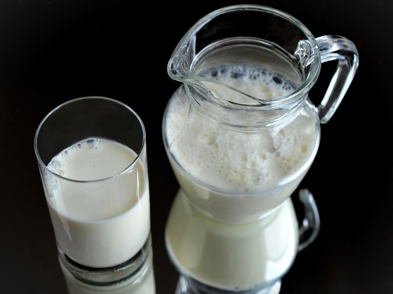 Case Study: How Danone Transformed Dairy Cream into Strategic Profit with Cibus Nexum