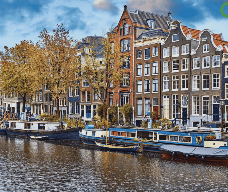 How to Enter the Dutch Food Ecosystem: Guide for International Food Scale-Ups Ready to Launch or Expand in the EU