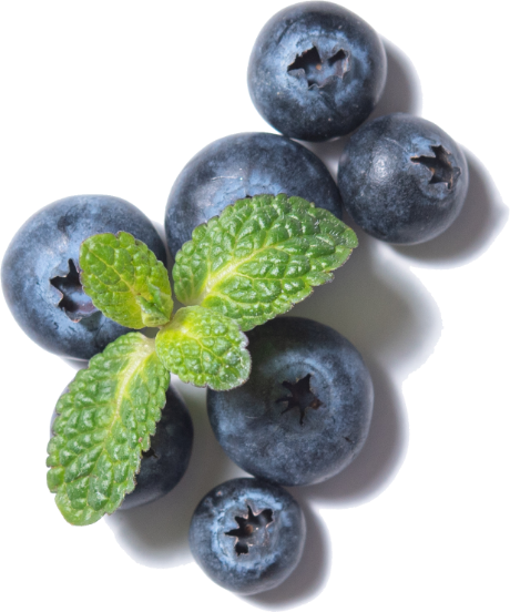 Fresh blue berries